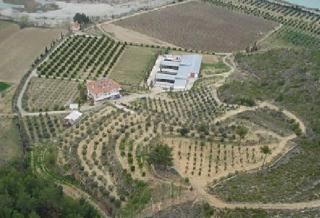 Türkei Bauernhof mit Obstanbau und Rinderzucht