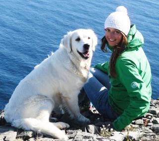 Ihr Hund wird es lieben Garantiert Fleisch Fisch in Lebensmittelqualität