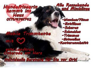 Mobiler Hundesalon, Mobile Trimmtante kommt ins Haus