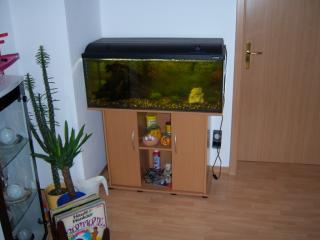 Verkauf meines Aquariums