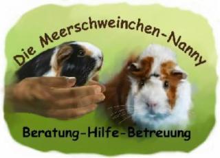 Die Meerschweinchen-Nanny, Meerschweinchen-Hilfe, Notstation, Urlaubspflege, Zub