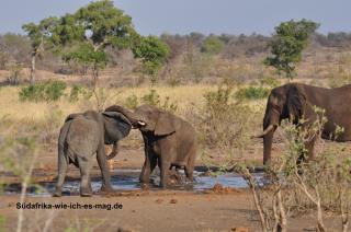 Reitferien in Südafrika, Südafrika Rundreise mit Möglichkeiten von Reittouren