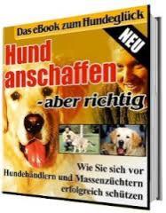 Hund anschaffen aber Richtig