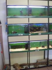 Aquarienanlage