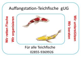 Teichauflösung