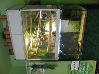 Paludarium Aquaterrarium