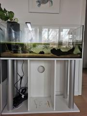 Aquarium mit Unterschrank 40x100 Schildkröte Schildkrötenbecken