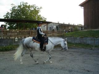 WESTERNREITUNTERICHT IN WEIBLINGEN FÜR JUNIOR UND SENIOR