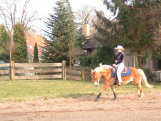 Qualifizierter Westernreitunterricht im Großraum Hannover