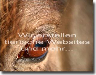 Ihre tierische Homepage inkl. ihres eigenen Logo- Visitenkartendesigns