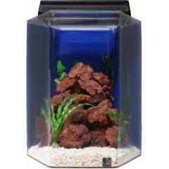 6 SeaClear 15 Gallon Aquarium Hexagon