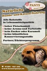 Chemiefreie Hunde- und Katzen-Nahrung