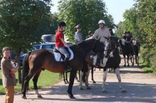 Biete Reitbeteiligung in 23701 Süsel Ostholstein