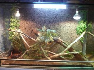 Terrarium 150x60x100 mit Wasseragame