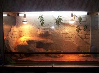 Terrarium mit Zub. Unterschr, Lichtkasten 120x60x80