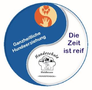 Hunde-Seminar Hilfe, mein Hund zieht an der Leine