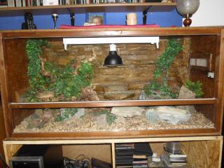 OSB Terrarium 120/60/60cm Preis 80Eur.