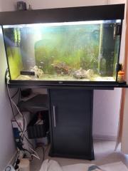 Aquarium zu verkaufen