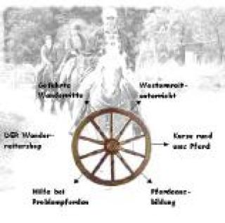 Westernreiturlaub auf zuverlässigen Wanderreitpferden