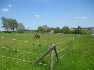 Boxen und Offenstall in Bissingen / Leiheim hat noch Plätze frei