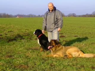 Kirchhellener-Hundeschule mit besonderen Angeboten