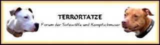 Terrortatze Forum