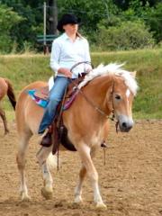 Suche Westernreitbeteiligung auf anfängergeeignetem Pferd in Siegen