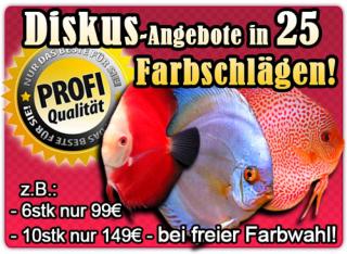 6 Stk nur 99EUR 25 Farbschläge Freie Farbwahl