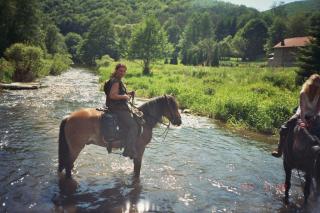 Einsteiger-Wanderritt Karfreitag/Ostersamstag im Westerwald