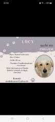 Lucy sucht ihr Zuhause