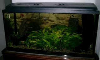 200 Lieter Aquarium