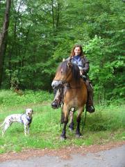 Wanderreiten mit Henrike in Westerwald, Eifel, Hunsrück, Pfalz