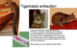 Getigerte Katze in Sonsbeck entlaufen