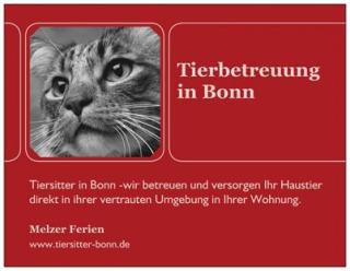 Katzensitter in Bonn