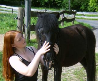 Kinderpony, Shetty, einfahren/ einreiten