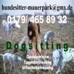 Dogsitting Berlin Mauerpark