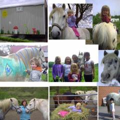 Geburtstag mit Ponyreiten für Kinder