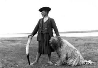 Komondor Welpen -FEHER HUNYOR KENNEL