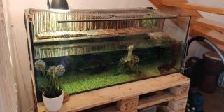 2 Wasserschildkröten Aqua-Terrarium mit Technik und Unterschrank