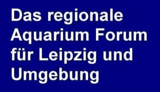 Regionales Aquarium Forum sucht Mitglieder