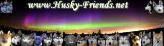 Husky-Friends