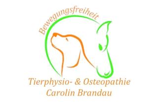 Tierphysiotherapie und Osteopathie für Katzen, Hunde und Pferde