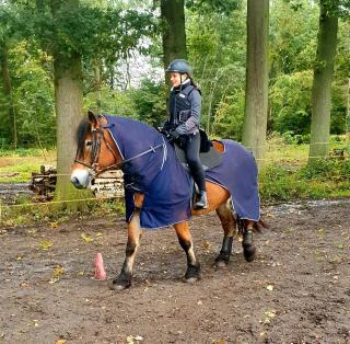 Wir suchen ein Pferd /Pony für eine Reitbeteiligung