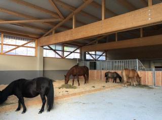 Stallplatz im Selbstversorgerstall