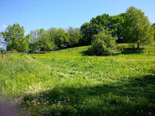 Weide / Koppel mit Wasser für Pferde bei Wachtberg-Berkum