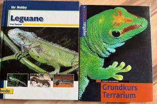 Terrarium Literatur Leguane