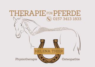 Osteopathie, Physiotherapie und Lasertherapie Pferd