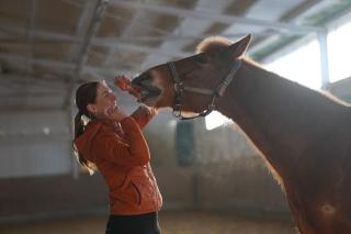 Mobile Tierphysiotherapie