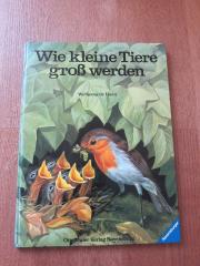 Tolles Tierbuch Wie kleine Tiere groß werden