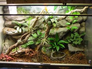 120cm Terrarium mit Design-Rückwand und Einrichtung